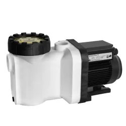 POMPA PERFORM-PLUS 24 1,35 HP 230V Q=21m³/h H=8m 77028